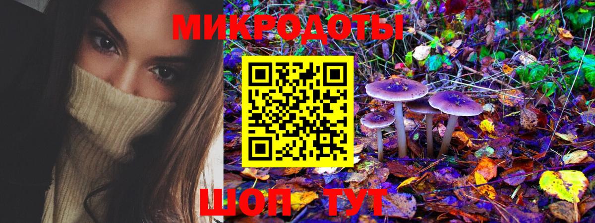 Заводоуковск  где купить наркоту  Вход с VPN  Галлюциногенные грибы MAGIC MUSHROOMS 